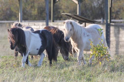 Bilden kan inte visas