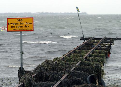 Big picture of Höst