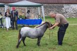 Small picture of L'amour of Northstar 40p, Champion, Diplom, Prem GI. Såld.
